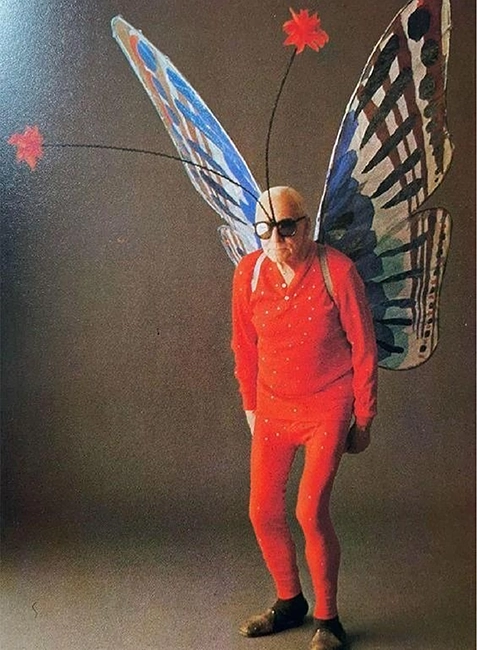 шут 5